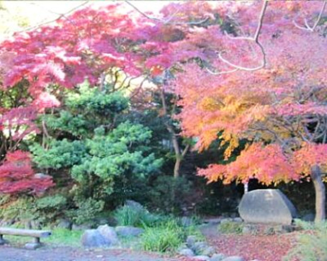蘆花記念公園